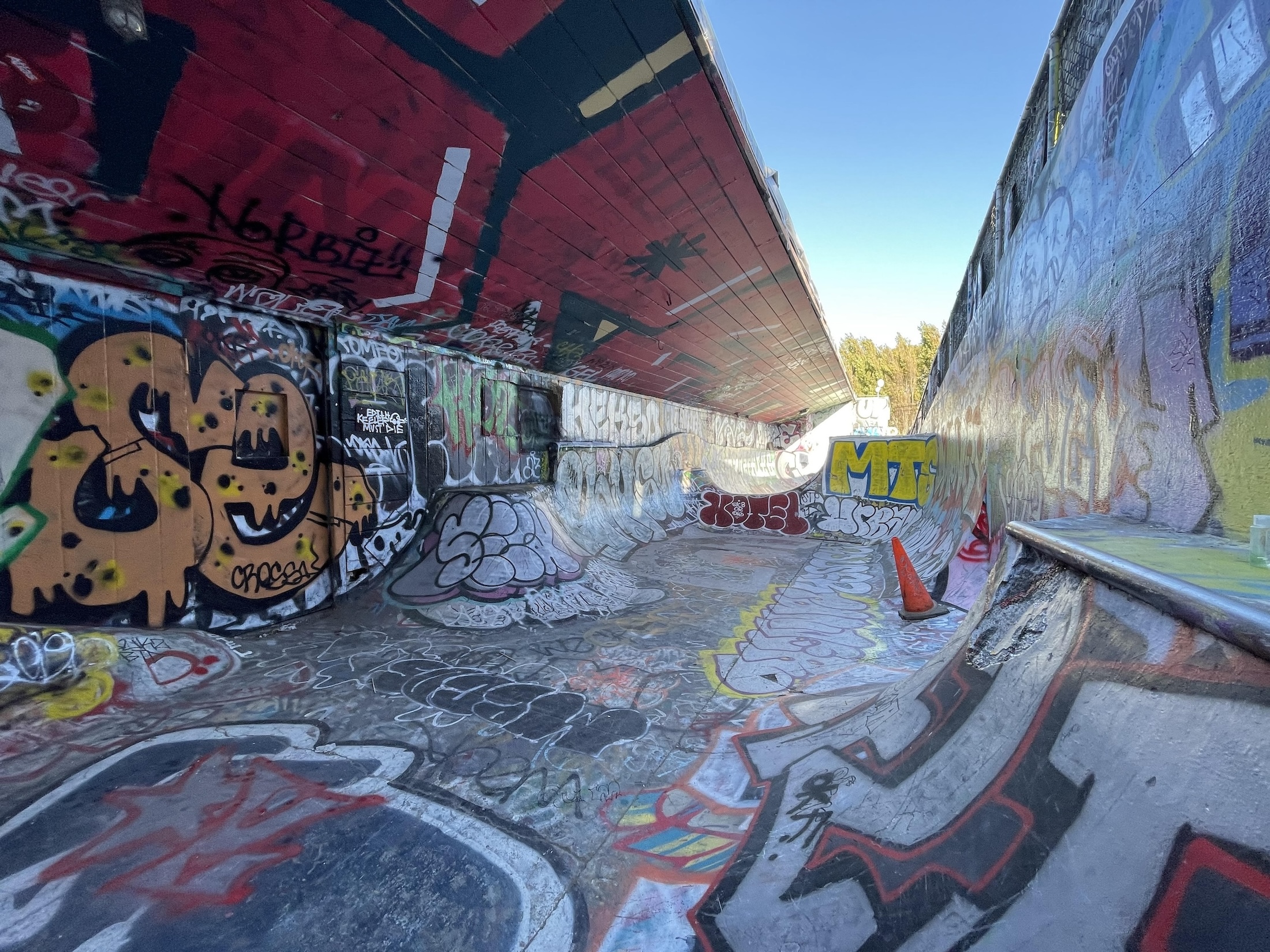 Flower shop DIY skatepark